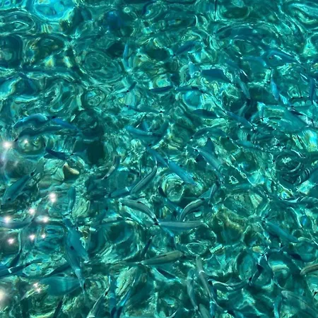 Nicola's Luxury Sardinia Lejlighed *